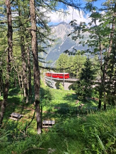 Trein Montenvers Chamonix